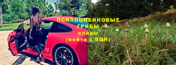 каннабис Няндома