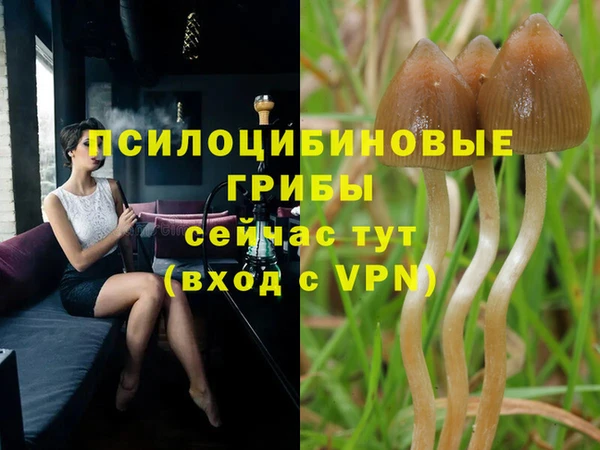 каннабис Няндома