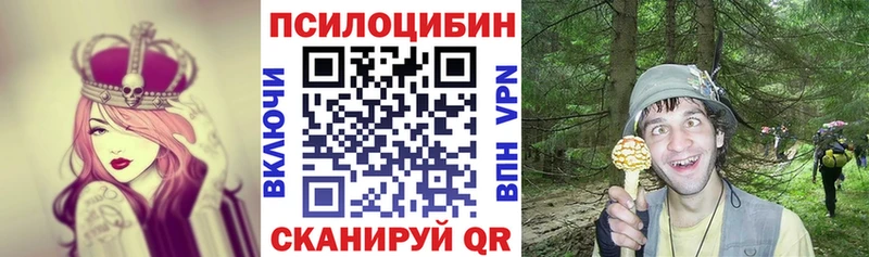 shop наркотические препараты  Татарск  Галлюциногенные грибы MAGIC MUSHROOMS  где найти наркотики 