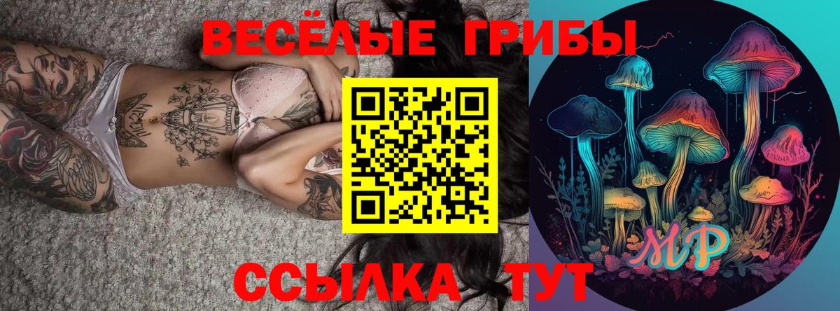 Псилоцибиновые грибы MAGIC MUSHROOMS  Вход с VPN  Татарск 