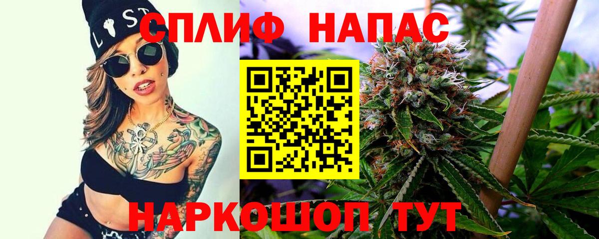 Конопля гибрид Татарск